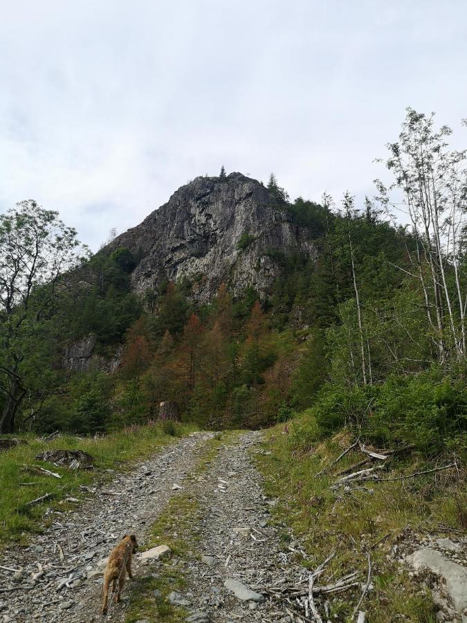 Вілла Stybeck Farm Thirlmere Екстер'єр фото