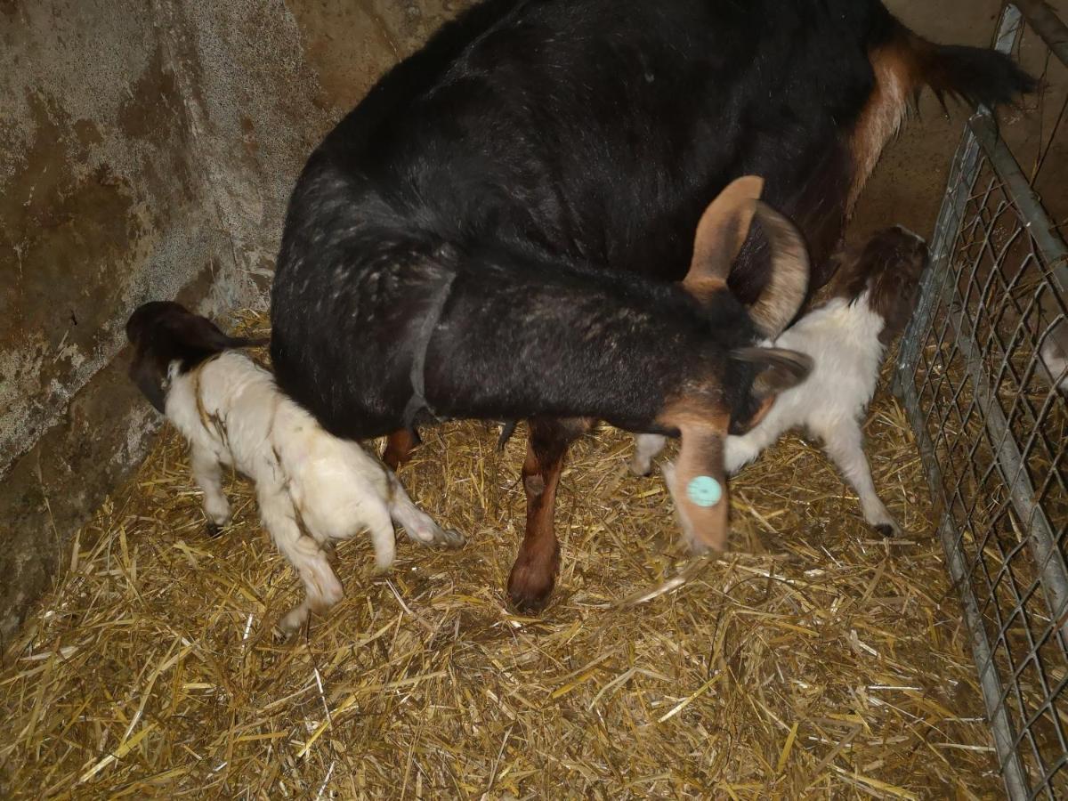 Вілла Stybeck Farm Thirlmere Екстер'єр фото