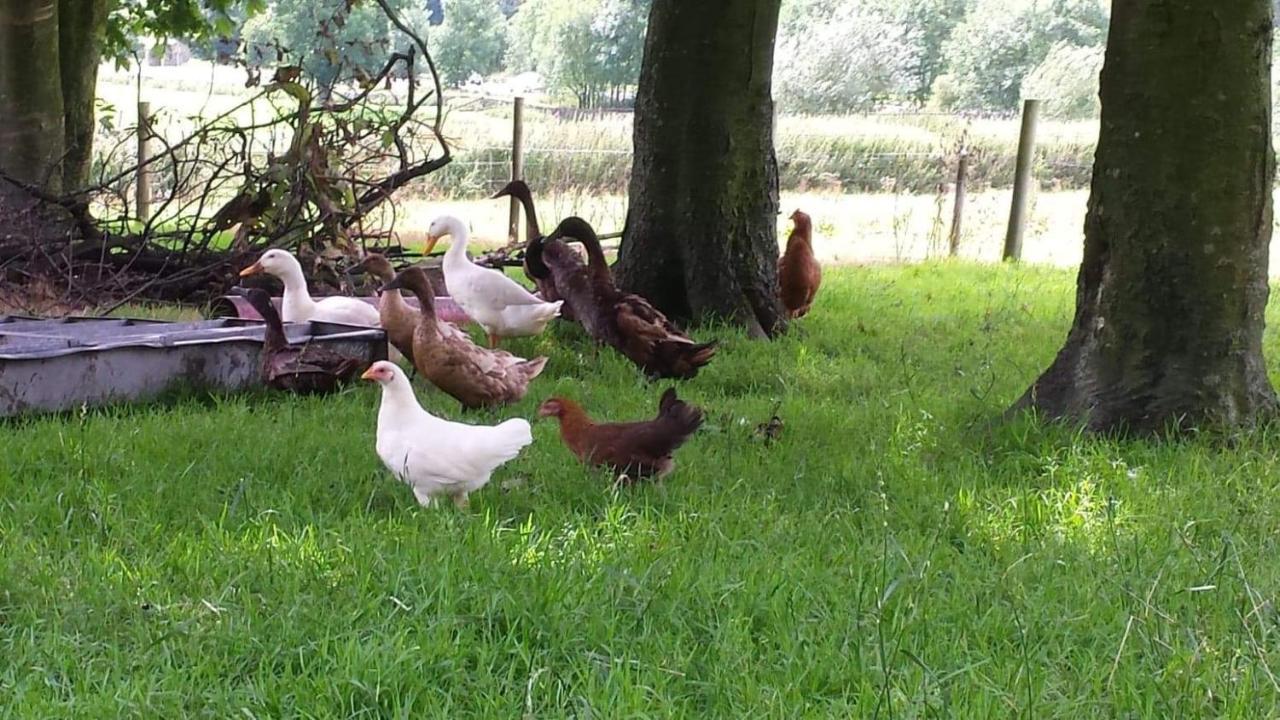 Вілла Stybeck Farm Thirlmere Екстер'єр фото